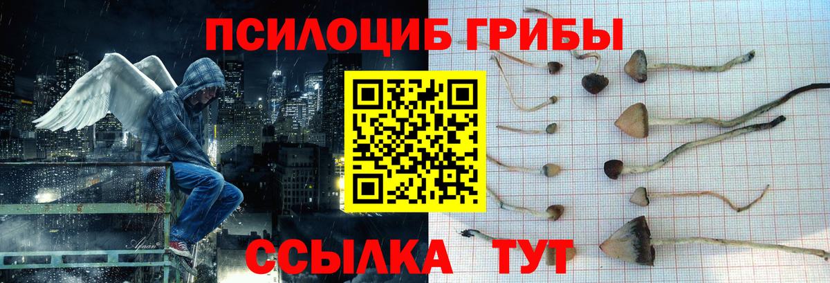 Галлюциногенные грибы Psilocybe  Галлюциногенные грибы Magic Shrooms  Унеча  Вход с VPN 