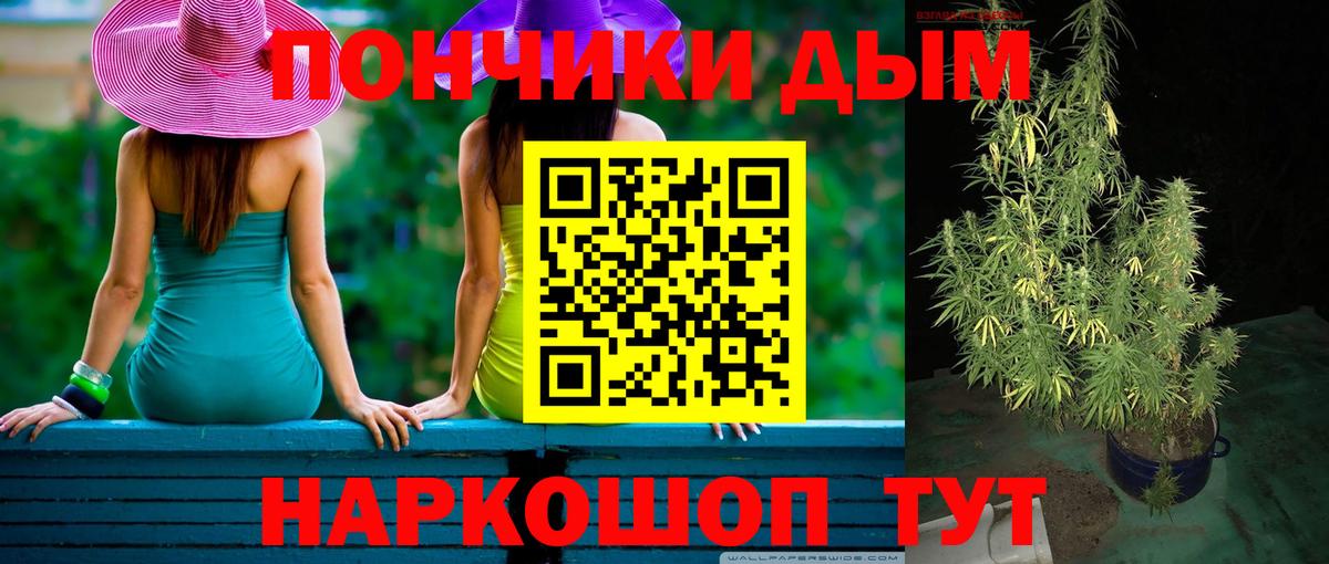 Унеча  Бошки марихуана AK-47  Канабис планчик  Вход с VPN  Бошки марихуана конопля 
